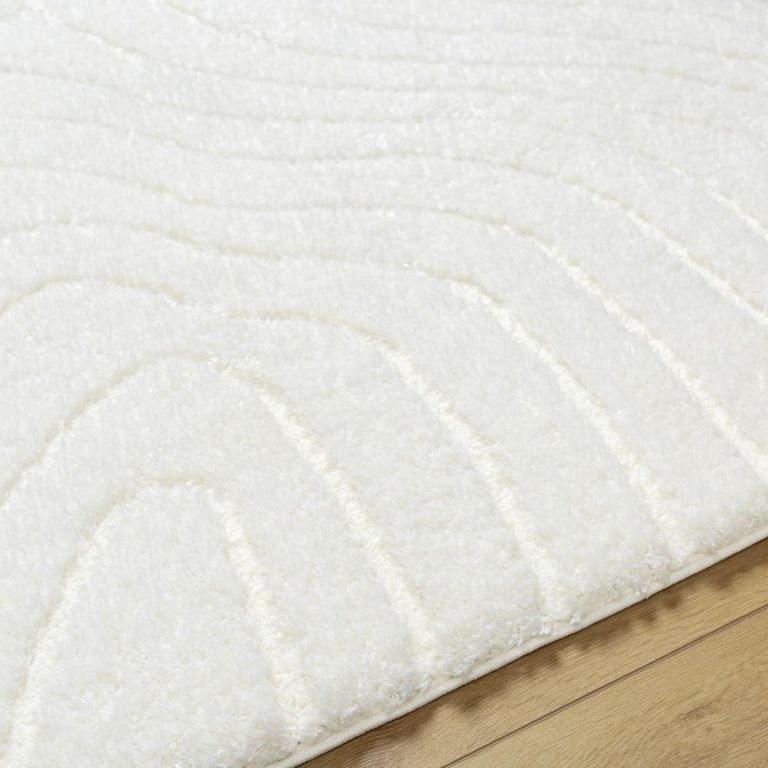 Nomadic Rug - Shaggy Modern Plush Pile - Beige - Sizes Available