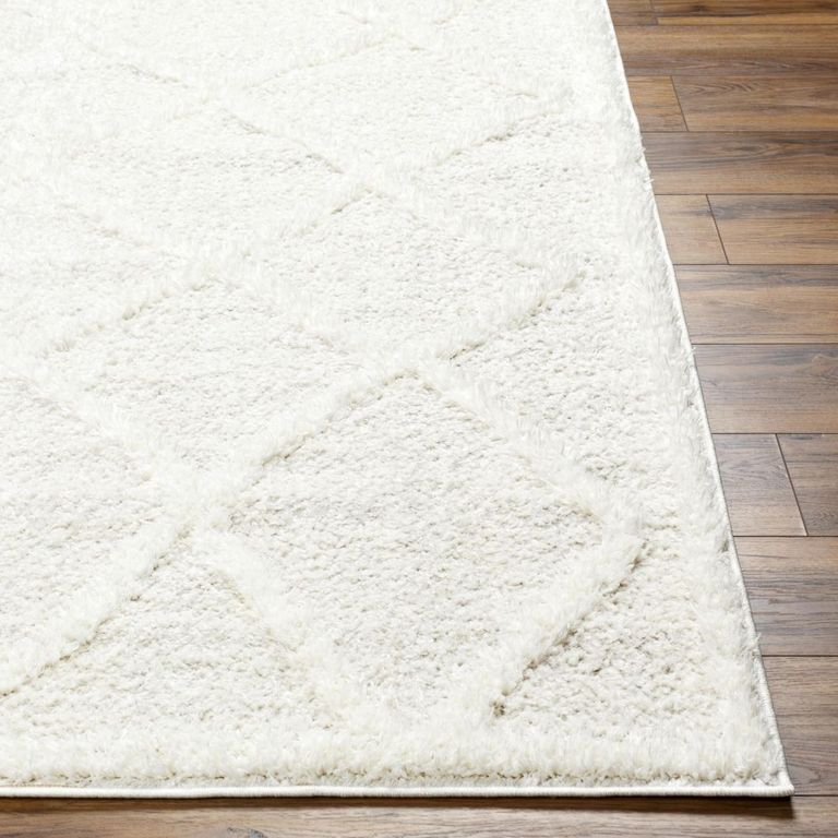 Rodos Rug - Boho Shaggy - RDO2301 - Beige - Sizes Available