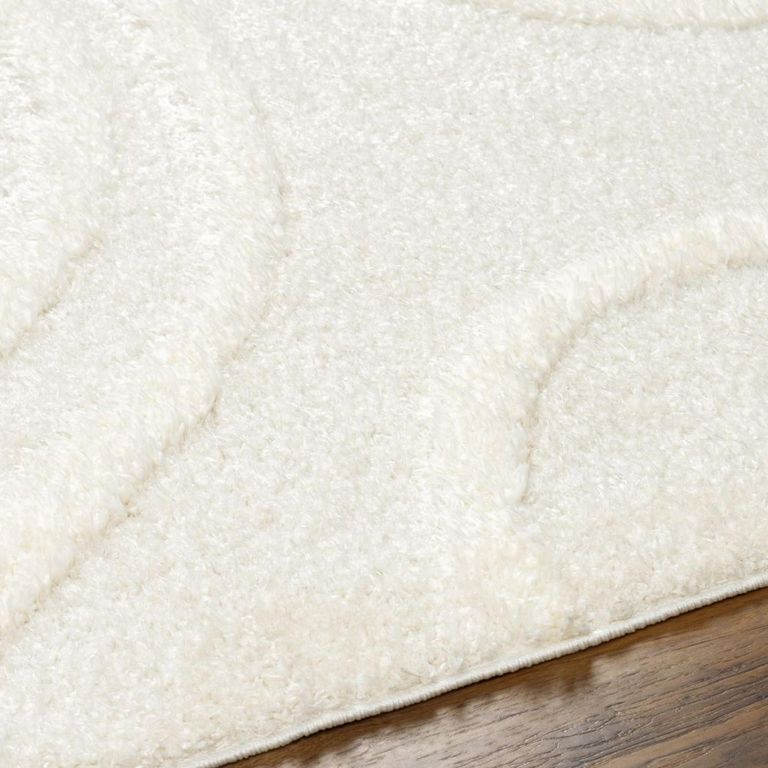 Rodos Rug - Modern Shaggy - RDO2341 - Beige - Sizes Available