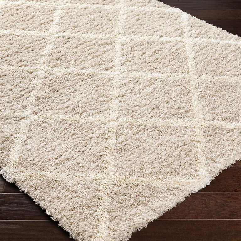 Urban Rug - Shaggy Cottage Plush Pile - USG2319 - Beige - Sizes Available