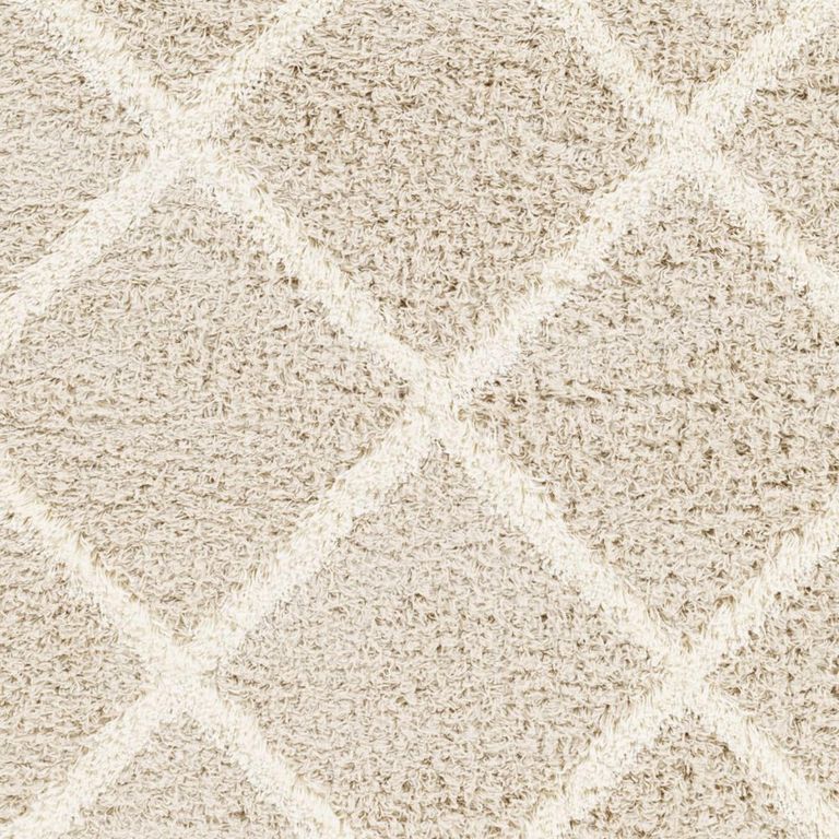 Urban Rug - Shaggy Cottage Plush Pile - USG2319 - Beige - Sizes Available
