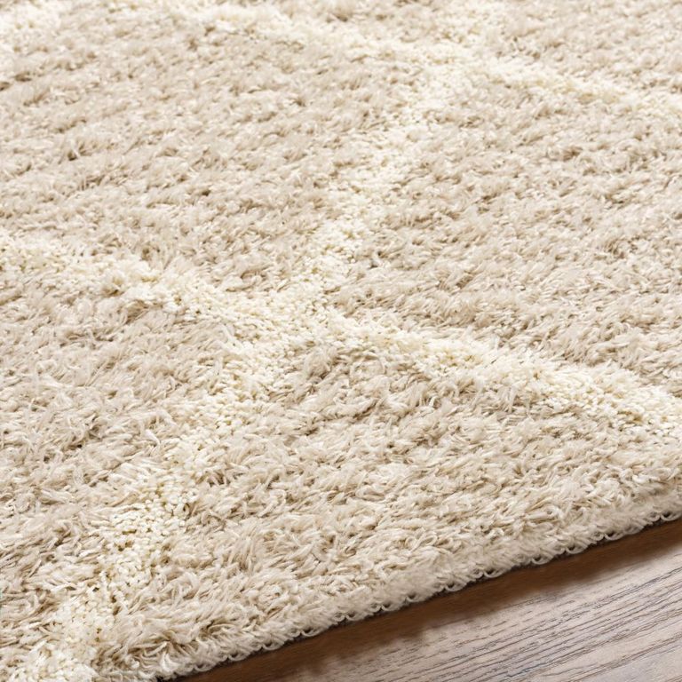 Urban Rug - Shaggy Cottage Plush Pile - USG2319 - Beige - Sizes Available