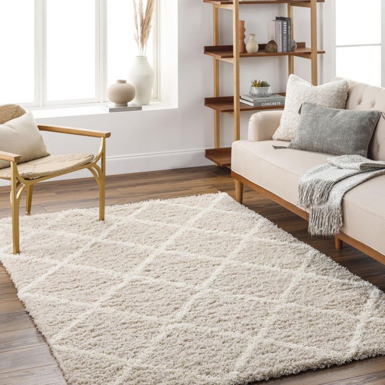 Urban Rug - Shaggy Cottage Plush Pile - USG2319 - Beige - Sizes Available