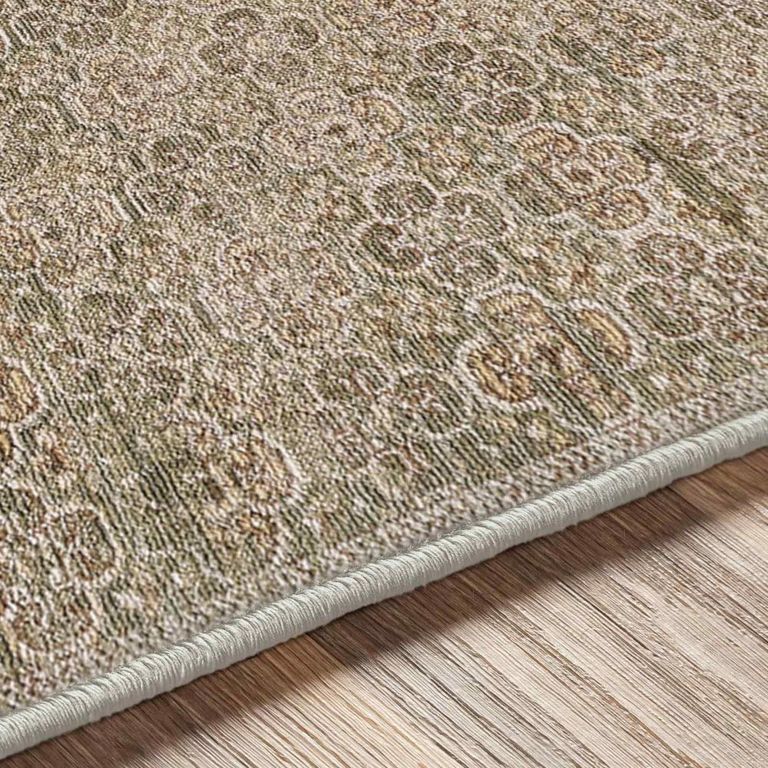 Myrtle Avenue Rug - Vintage Traditional Oriental Boho - GAMY2301 - Green - Sizes Available