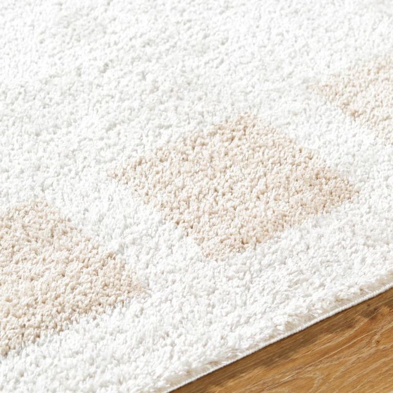 Fossay Rug - Machine Washable Modern Shaggy - FSG2314 - Beige - Sizes Available
