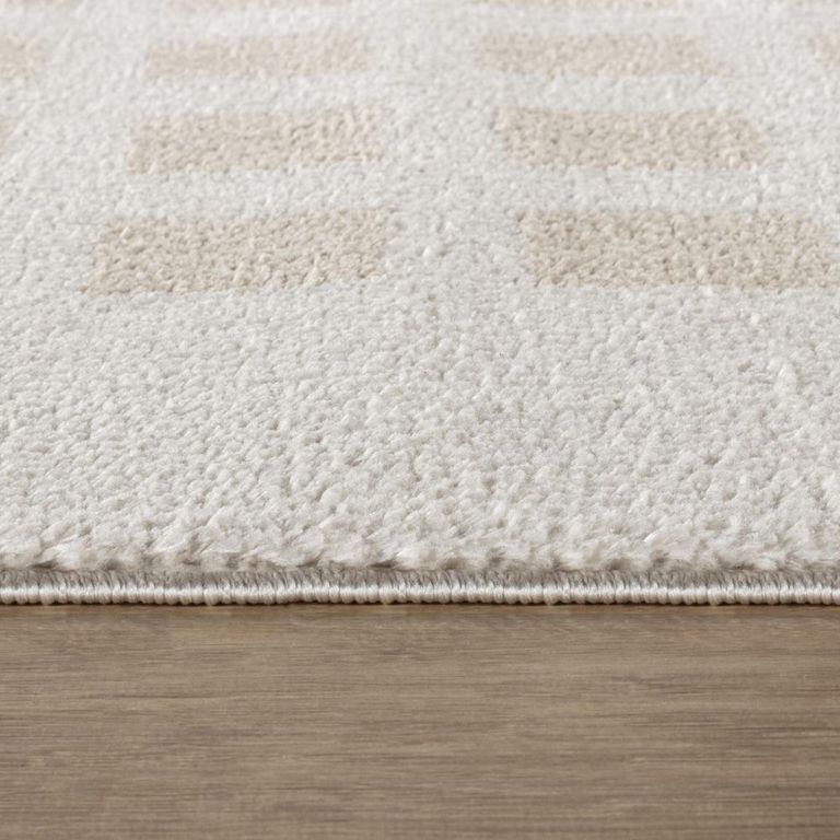 Fossay Rug - Machine Washable Modern Shaggy - FSG2319 - Beige - Sizes Available
