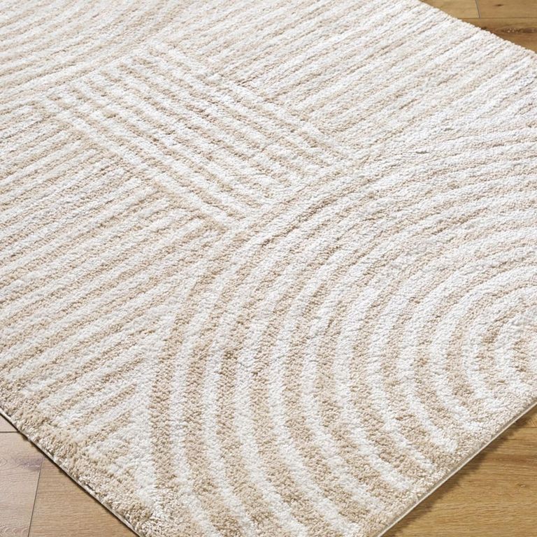 Fossay Rug - Machine Washable Modern Shaggy - FSG2332 - Beige - Sizes Available