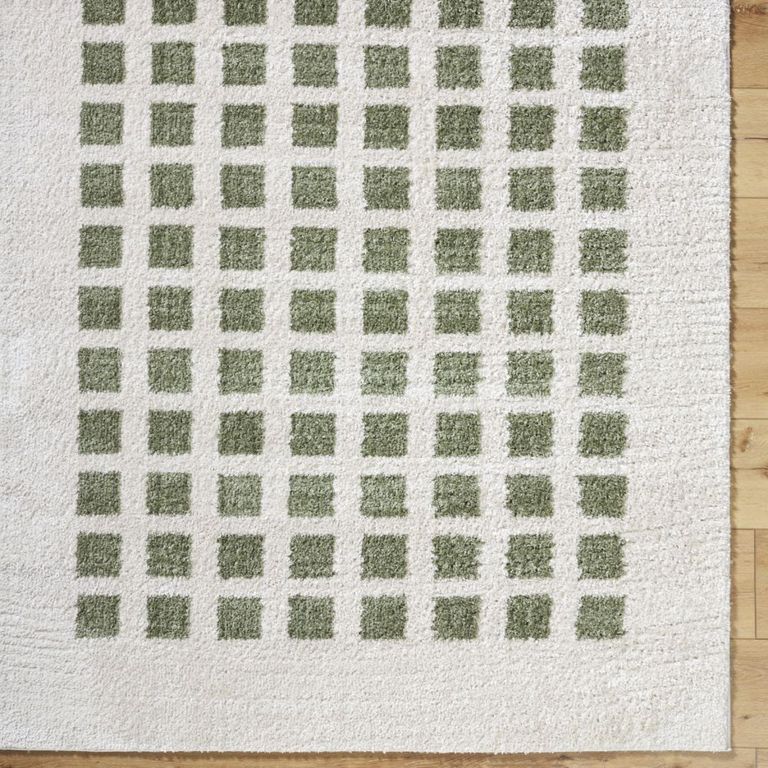 Fossay Rug - Machine Washable Modern Shaggy - FSG2320 - Ivory & Green - Sizes Available