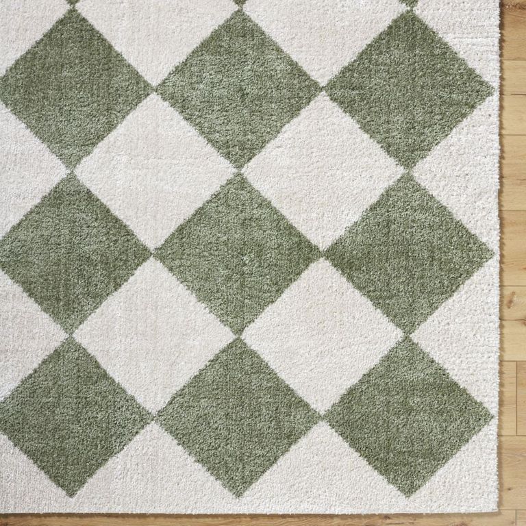 Fossay Rug - Machine Washable Modern Shaggy - FSG2325 - Ivory & Green - Sizes Available