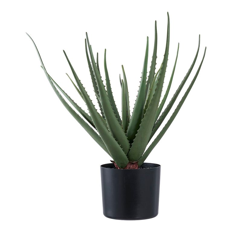 Aloe Vera Plant - Artificial