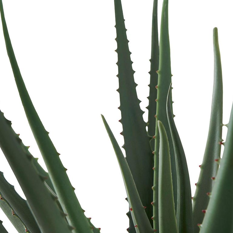 Aloe Vera Plant - Artificial