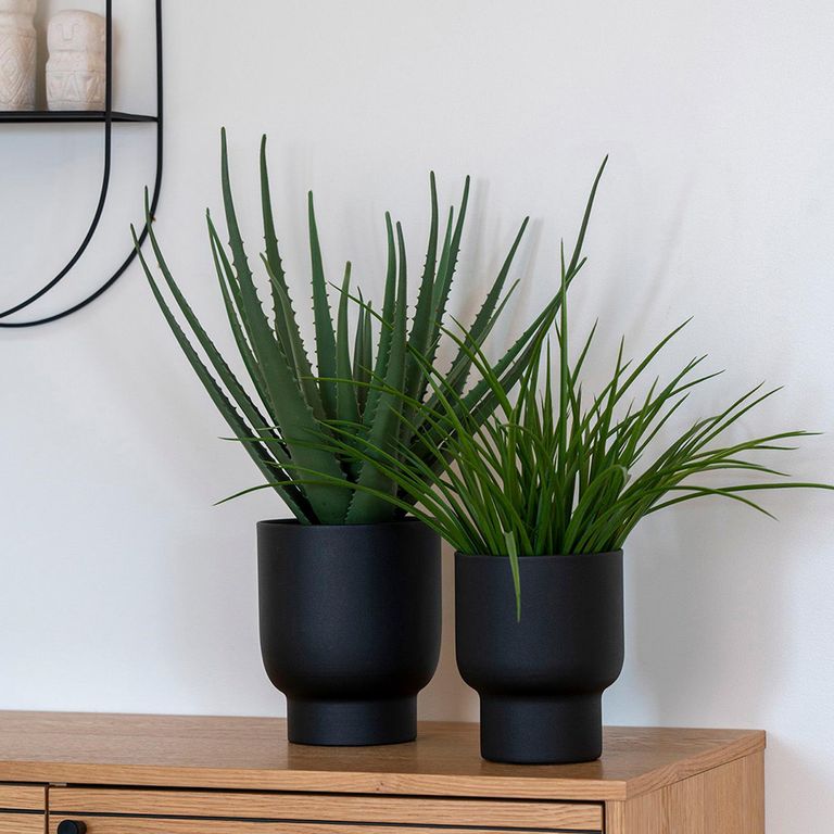 Aloe Vera Plant - Artificial