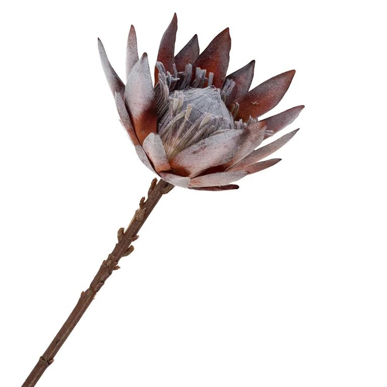 Bouquet - Large - King Protea - Artificial