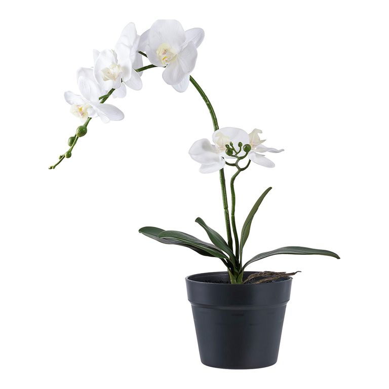 Plant - Artificial - Orchid