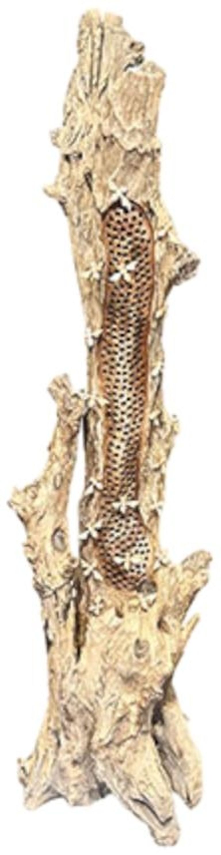 Beehive Sculpture - 20 Bees - Teak Root