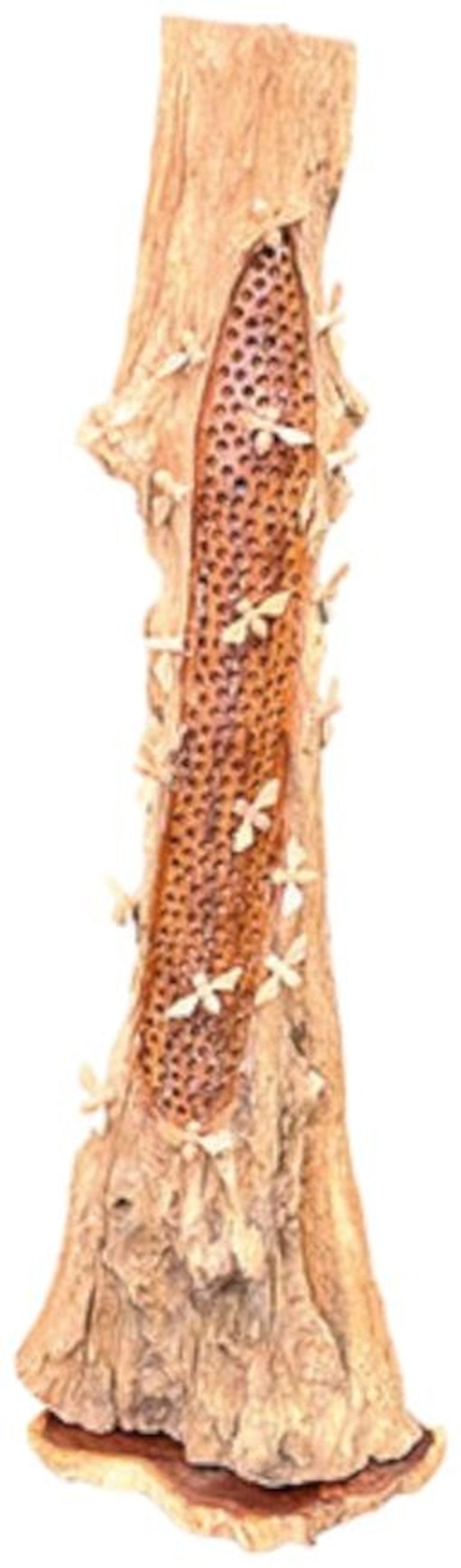Beehive Sculpture - 20 Bees - Teak Root