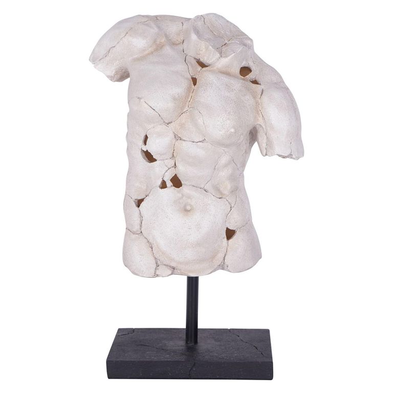 Torso Sculpture - White Resin - Male - On Stand