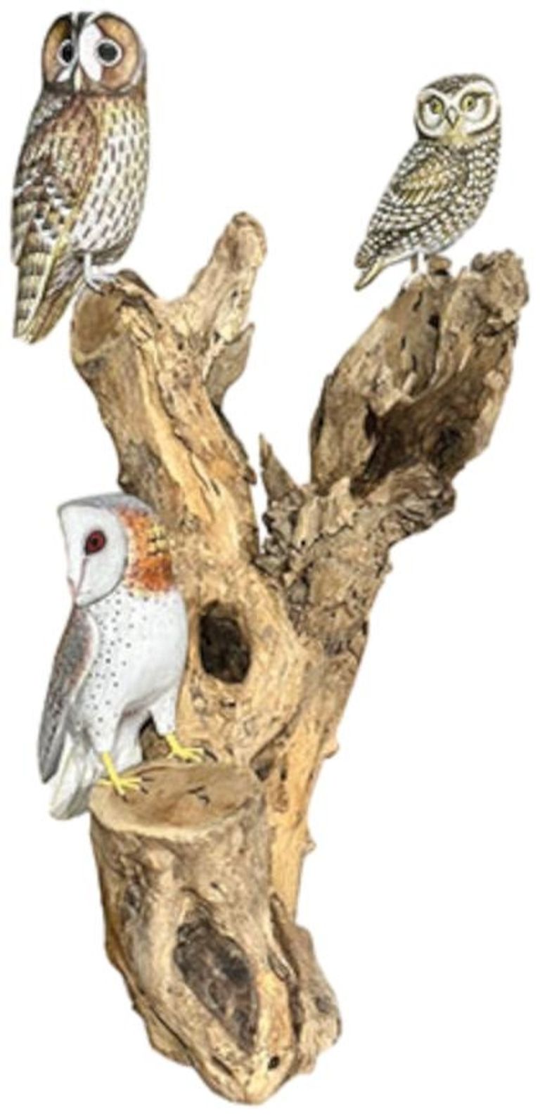 Special Sculpture - 3 Owls Large - Teak Root