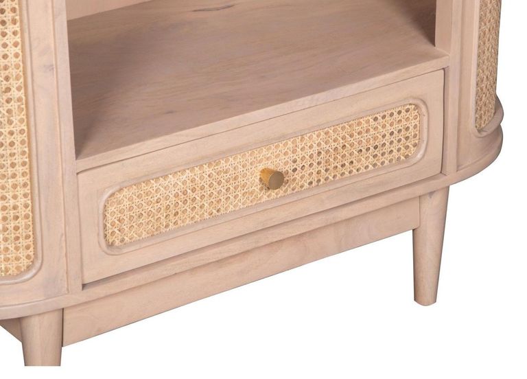 Vance Curved Natural Rattan and Mango Wood Bookcase