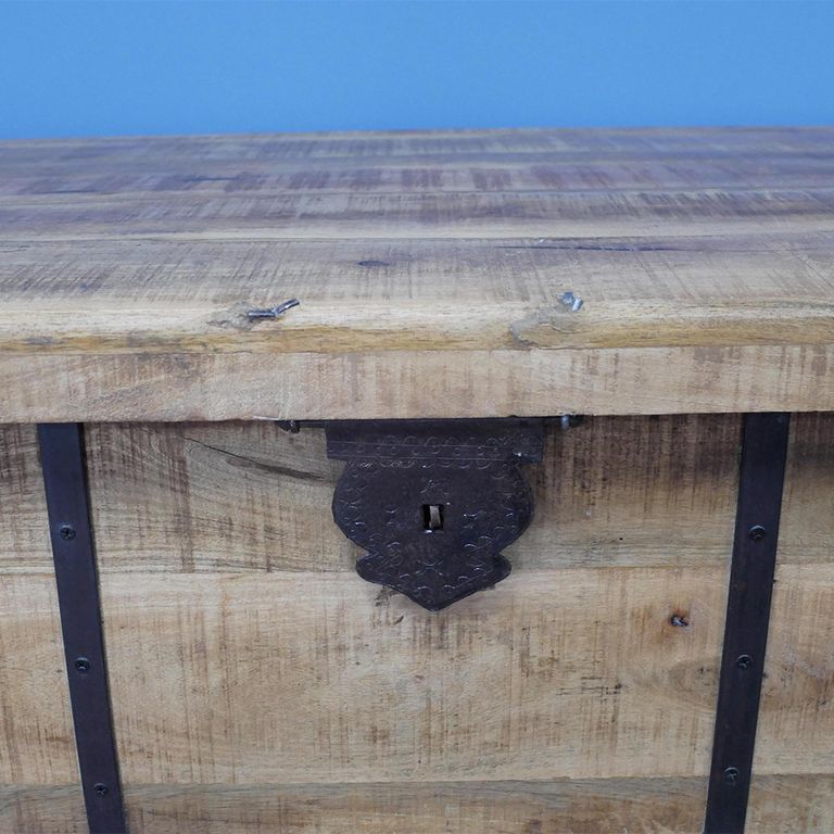 Coffee Table - Trunk - Mango Wood