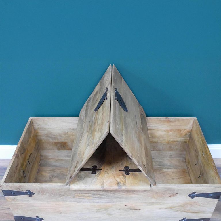 Coffee Table - Rustic Trunk - Mango Wood