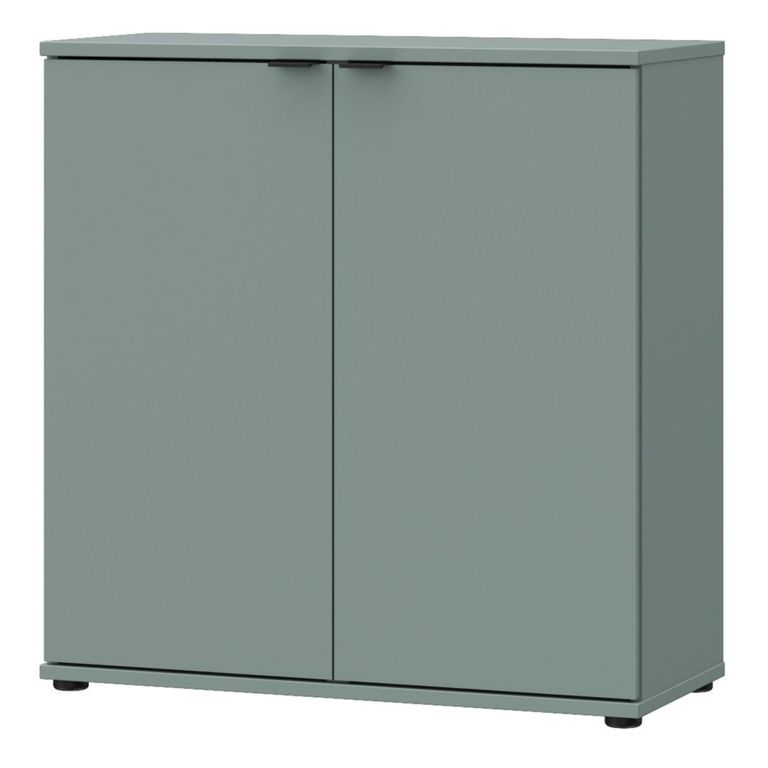Ganymede Hall Cabinet - 2 Door - Sage Green