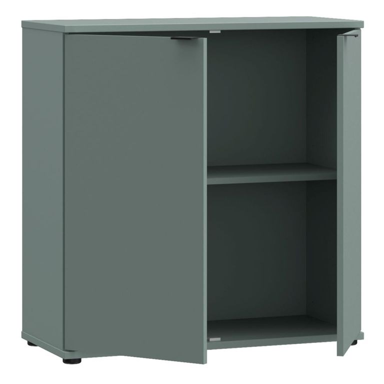 Ganymede Hall Cabinet - 2 Door - Sage Green