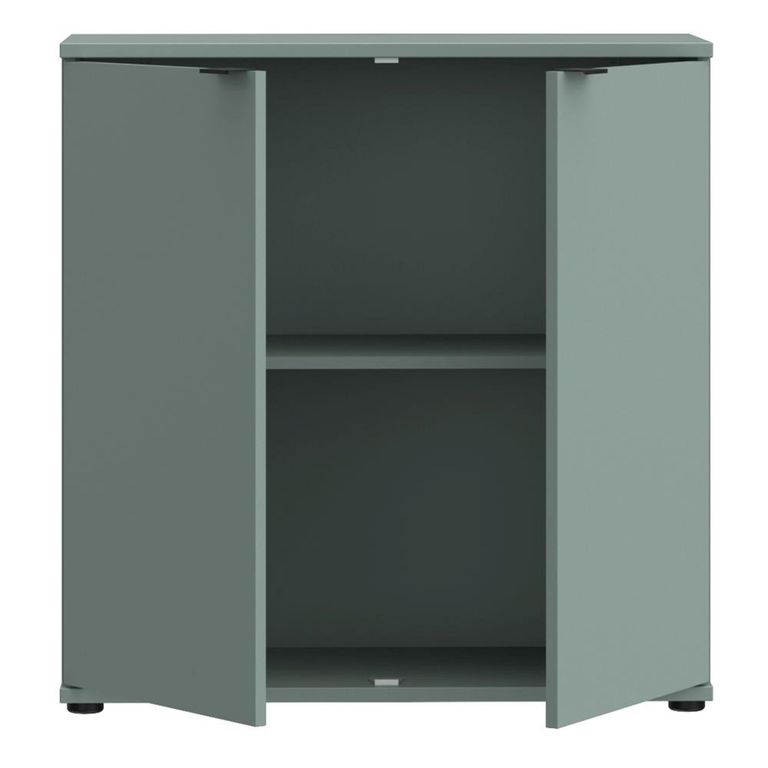 Ganymede Hall Cabinet - 2 Door - Sage Green