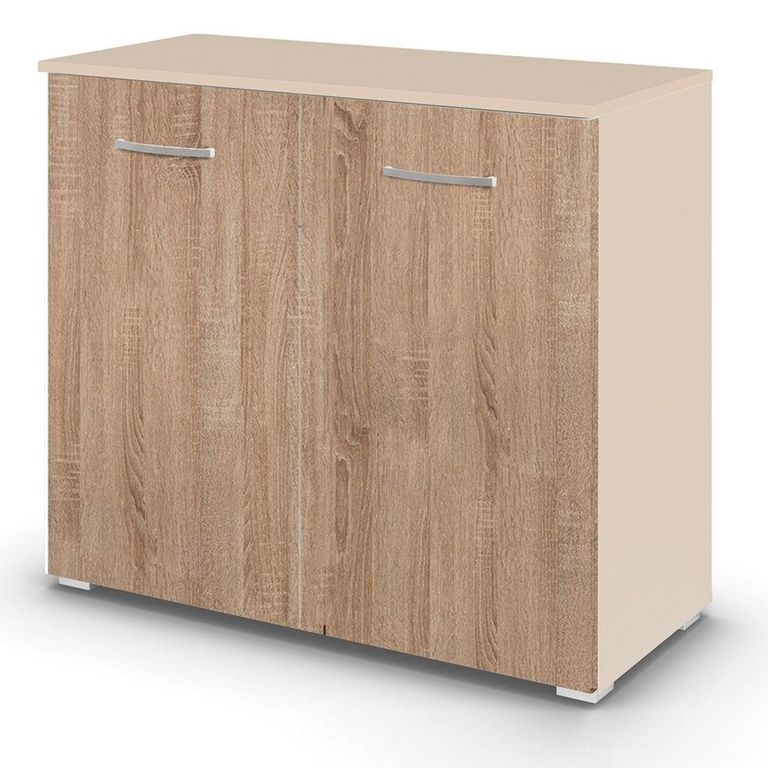 Rauch Aditio 2 Door Cupboard - Champagne and Sonoma Oak