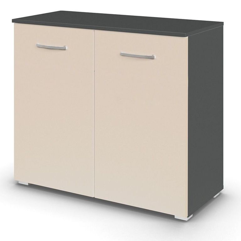 Rauch Aditio 2 Door Cupboard - Metallic Dark Grey and Champagne