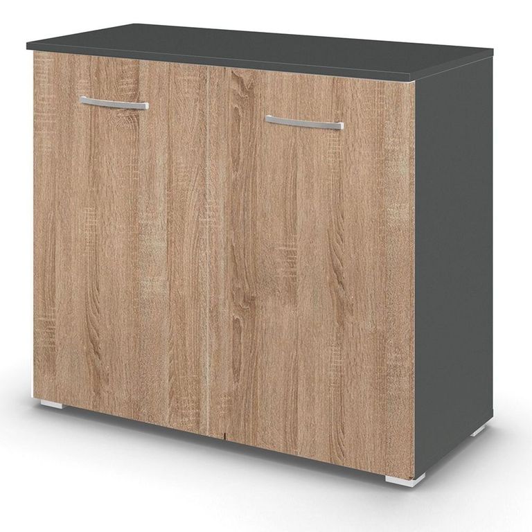 Rauch Aditio 2 Door Cupboard - Metallic Dark Grey and Sonoma Oak