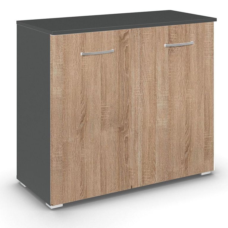 Rauch Aditio 2 Door Cupboard - Metallic Dark Grey and Sonoma Oak