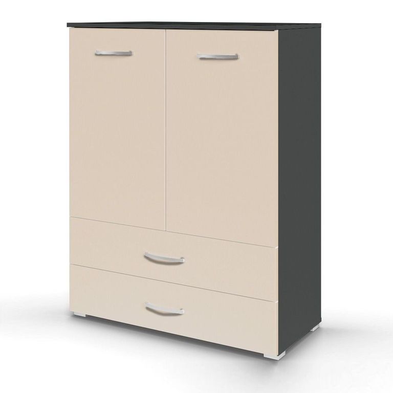 Rauch Aditio 2 Door Cupboard with 2 Bottom Drawer - Metallic Dark Grey and Champagne