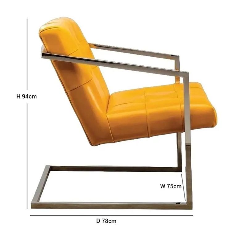 Dafne Occasional Chair - Leather - Variation Available