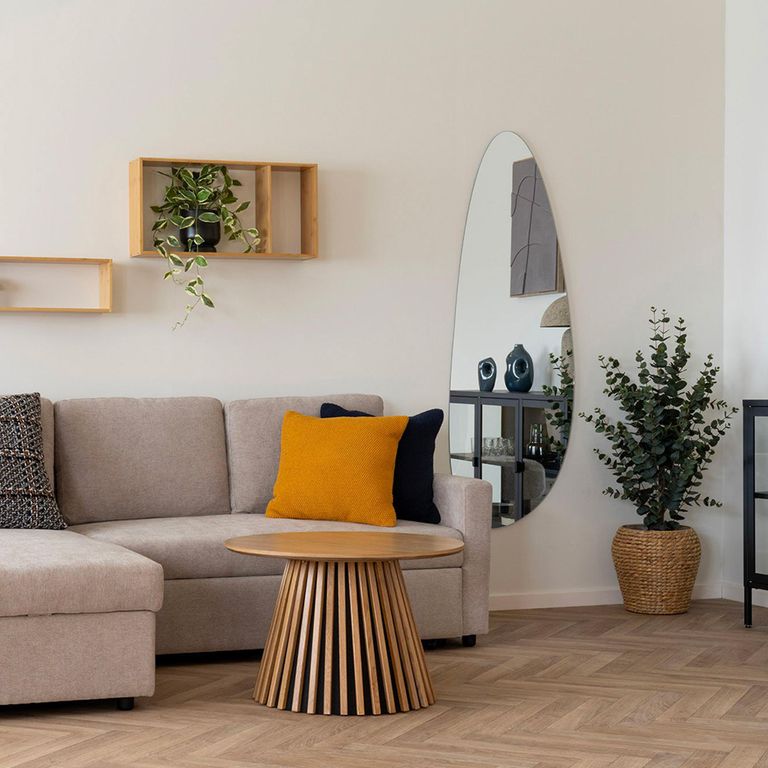 Pagani Mirror - Abstract - Wall - 57cm x 160cm