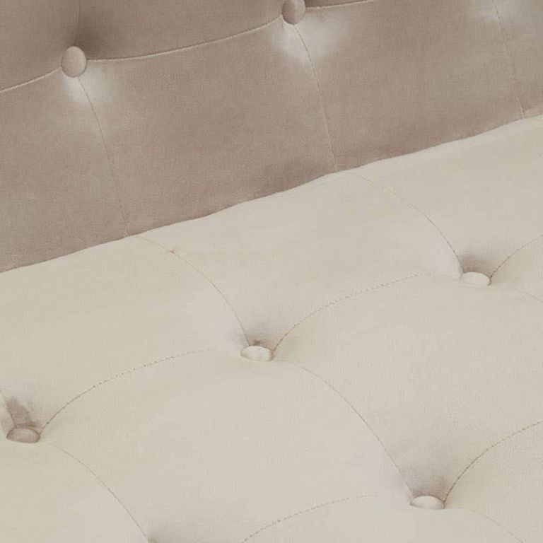 Azalea Sofa - 2 Seater - Mink Velvet Fabric with Gold Metal