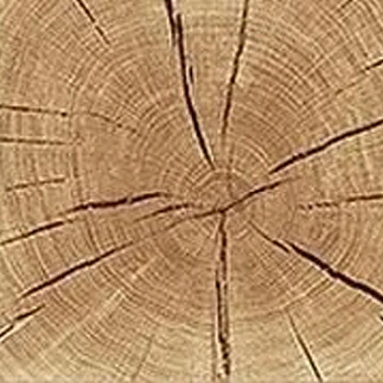 Clearance - TV Unit - Large - 3 Door - Modena Oak - B182