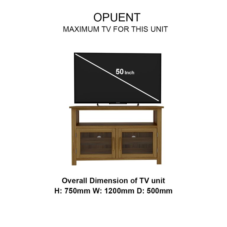 Opus TV Unit - 2 Door - Oak