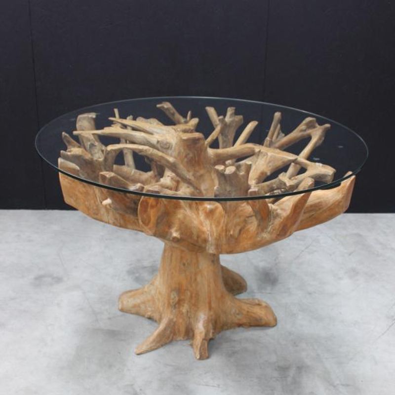 Ancient Mariner Tree Root