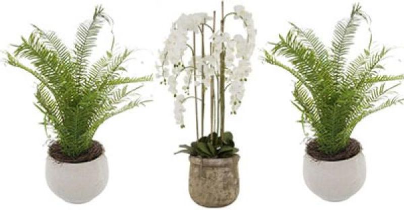 Hill Interiors Artificial Plants