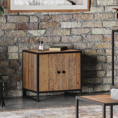 Olmsted Modular Reclaimed Wood 2 Door Low Cupboard