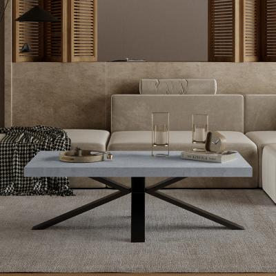 Ezra Grey Coffee Table with Black Spider Legs