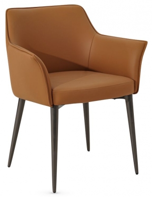 Product photograph of Campania Tan Leather Dining Chair Sold In Pairs from Choice Furniture Superstore