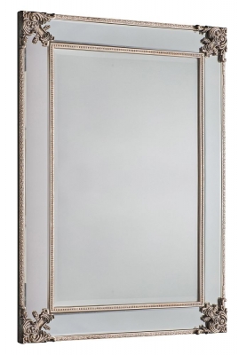 Product photograph of Wilson Champagne Rectangular Mirror from Choice Furniture Superstore