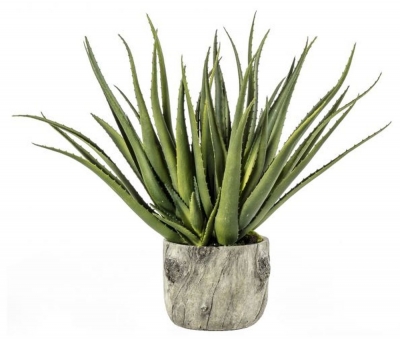 Aloe with Bark Effect Artificial Potted Plant