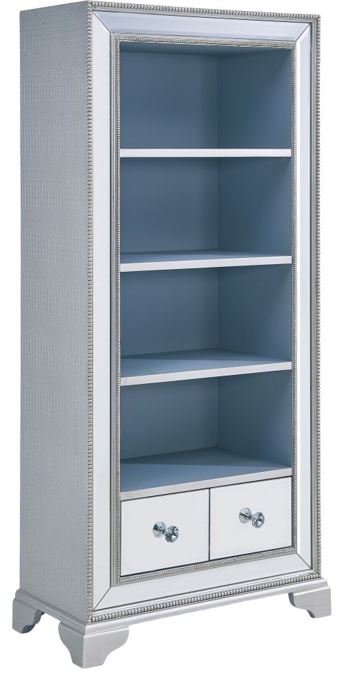 Mirrored bookcase on sale