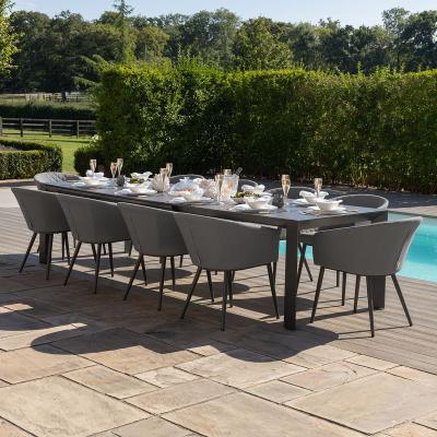 Product photograph of Maze Ambition Flanelle Aluminium 10 Seater Extending Dining Set With 10 Chairs And Table from Choice Furniture Superstore