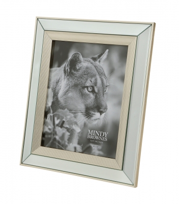 Product photograph of Mindy Brownes Ava Champagne 8 X 10 Photo Frame Set Of 4 from Choice Furniture Superstore