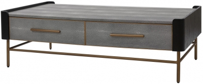 Product photograph of Mindy Brownes Limoges 2 Drawer Coffee Table from Choice Furniture Superstore