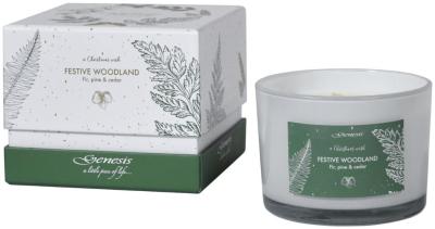 Mindy Brownes Festive White Glass Woodland Candle Set Of 12